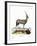 Arabian Oryx-null-Framed Premium Giclee Print