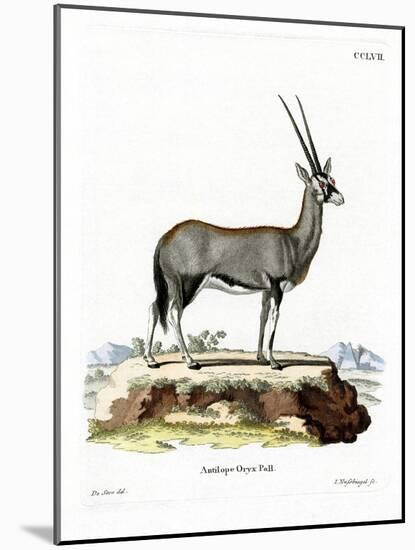 Arabian Oryx-null-Mounted Giclee Print