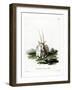 Arabian Oryx-null-Framed Giclee Print