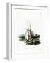 Arabian Oryx-null-Framed Giclee Print