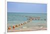 Arabian Peninsula, Persian Gulf, State of Qatar, Doha. Orange buoys in bay.-Emily Wilson-Framed Photographic Print