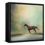 Arabian Run-Jai Johnson-Framed Stretched Canvas