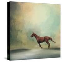 Arabian Run-Jai Johnson-Stretched Canvas