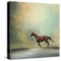 Arabian Run-Jai Johnson-Stretched Canvas