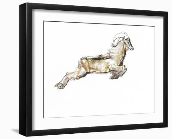 Arabian Tahr, 2009-Mark Adlington-Framed Giclee Print