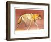 Arabian Wolf, 2010-Mark Adlington-Framed Giclee Print