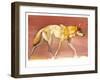 Arabian Wolf, 2010-Mark Adlington-Framed Giclee Print