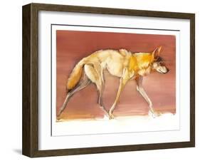 Arabian Wolf, 2010-Mark Adlington-Framed Giclee Print