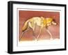 Arabian Wolf, 2010-Mark Adlington-Framed Giclee Print