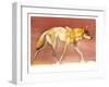 Arabian Wolf, 2010-Mark Adlington-Framed Giclee Print