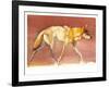 Arabian Wolf, 2010-Mark Adlington-Framed Giclee Print