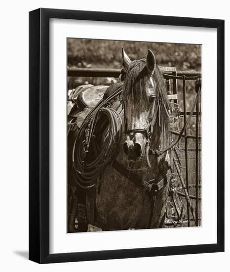 Arabian Working Cow Horse-Barry Hart-Framed Giclee Print