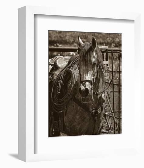 Arabian Working Cow Horse-Barry Hart-Framed Art Print