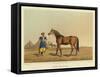 Arabian-Henry Thomas Alken-Framed Stretched Canvas