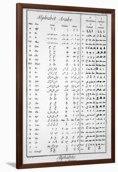 Arabic Alphabet-null-Framed Giclee Print