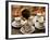 Arabic Coffee, Dubai, United Arab Emirates, Middle East-Nico Tondini-Framed Photographic Print