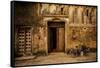 Arabic Doorway in Stone Town, UNESCO World Heritage Site, Zanzibar Island, Tanzania, East Africa-Laura Grier-Framed Stretched Canvas