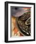 Arabic Food, Stuffed Aubergines, Middle East-Tondini Nico-Framed Photographic Print