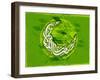 Arabic Islamic Calligraphy of Text Ramadan Kareem or Ramazan Kareem on Grungy Green Background.-aispl-Framed Photographic Print