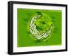 Arabic Islamic Calligraphy of Text Ramadan Kareem or Ramazan Kareem on Grungy Green Background.-aispl-Framed Photographic Print