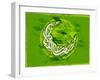 Arabic Islamic Calligraphy of Text Ramadan Kareem or Ramazan Kareem on Grungy Green Background.-aispl-Framed Photographic Print