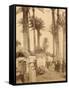 Arabic Village Along the Nile (Egypt)-Felix Bonfils-Framed Stretched Canvas