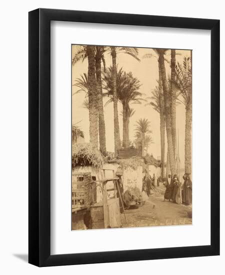 Arabic Village Along the Nile (Egypt)-Felix Bonfils-Framed Photographic Print