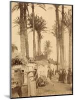 Arabic Village Along the Nile (Egypt)-Felix Bonfils-Mounted Photographic Print