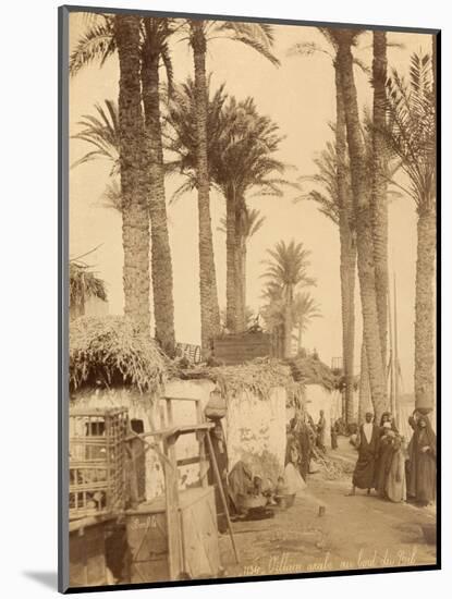 Arabic Village Along the Nile (Egypt)-Felix Bonfils-Mounted Photographic Print