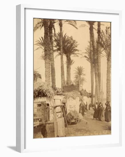 Arabic Village Along the Nile (Egypt)-Felix Bonfils-Framed Photographic Print
