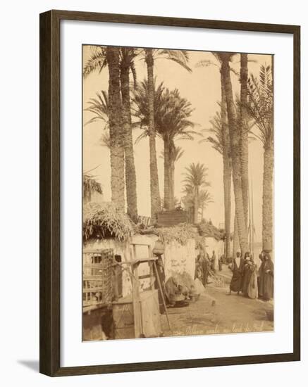 Arabic Village Along the Nile (Egypt)-Felix Bonfils-Framed Photographic Print