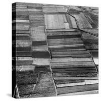 Arable Land-Evans-Stretched Canvas