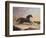 Arabs Chasing a Loose Arab Horse in an Eastern Landscape-John Frederick Herring I-Framed Giclee Print