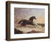 Arabs Chasing a Loose Arab Horse in an Eastern Landscape-John Frederick Herring I-Framed Premium Giclee Print