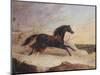 Arabs Chasing a Loose Arab Horse in an Eastern Landscape-John Frederick Herring I-Mounted Premium Giclee Print