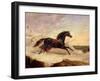 Arabs Chasing a Loose Arab Horse in an Eastern Landscape-John Frederick Herring I-Framed Giclee Print