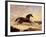 Arabs Chasing a Loose Arab Horse in an Eastern Landscape-John Frederick Herring I-Framed Giclee Print