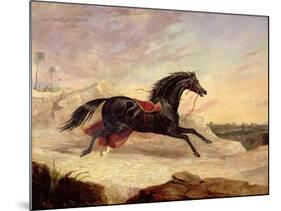 Arabs Chasing a Loose Arab Horse in an Eastern Landscape-John Frederick Herring I-Mounted Giclee Print