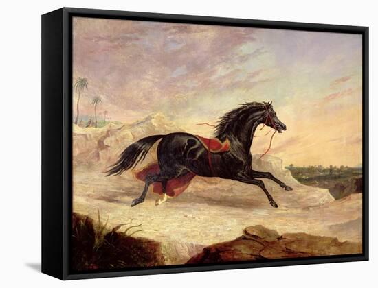 Arabs Chasing a Loose Arab Horse in an Eastern Landscape-John Frederick Herring I-Framed Stretched Canvas