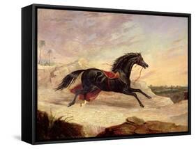 Arabs Chasing a Loose Arab Horse in an Eastern Landscape-John Frederick Herring I-Framed Stretched Canvas