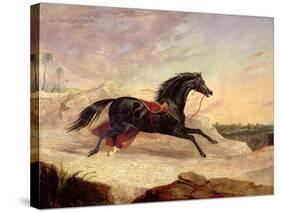 Arabs Chasing a Loose Arab Horse in an Eastern Landscape-John Frederick Herring I-Stretched Canvas