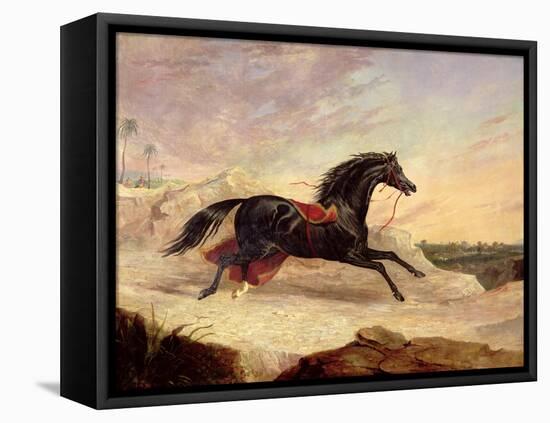 Arabs Chasing a Loose Arab Horse in an Eastern Landscape-John Frederick Herring I-Framed Stretched Canvas