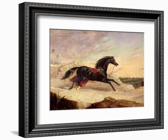 Arabs Chasing a Loose Arab Horse in an Eastern Landscape-John Frederick Herring I-Framed Giclee Print