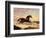 Arabs Chasing a Loose Arab Horse in an Eastern Landscape-John Frederick Herring I-Framed Giclee Print