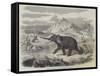 Arabs of Abyssinia Hunting the Elephant-null-Framed Stretched Canvas