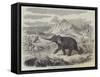 Arabs of Abyssinia Hunting the Elephant-null-Framed Stretched Canvas