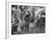 Arabs Proclaiming Their Loyalty to King Hussein-Frank Scherschel-Framed Photographic Print