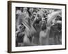 Arabs Proclaiming Their Loyalty to King Hussein-Frank Scherschel-Framed Photographic Print