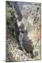 Aradena Gorge, Aradena, South Crete, Crete Island, Crete, Greece-Markus Lange-Mounted Photographic Print