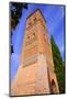 Aragon Teruel Torre De San Martin Mudejar UNESCO Heritage in Spain-holbox-Mounted Photographic Print